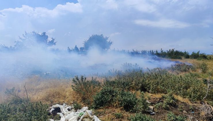 Boztepe Köyü’nde 200 dönümlük buğday ekili alan yandı