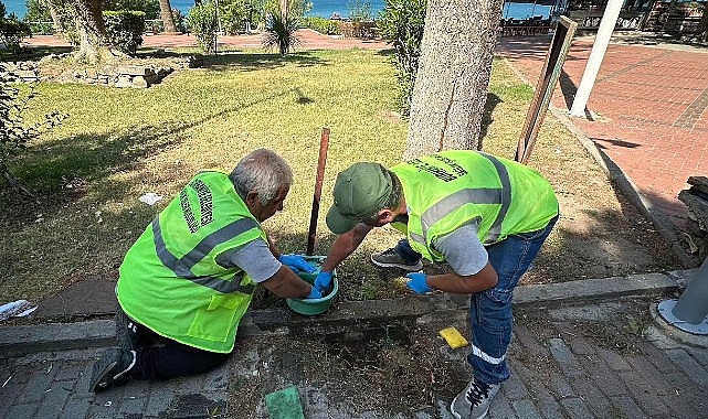 Burhaniye Belediyesi’nden Sokak Hayvanları İçin Özenli Bakım