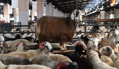 Bursa Osmangazi’de kurban kesim noktaları belli oldu