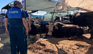 Çiğli Belediyesi Bayram Boyunca Denetimlerini Sürdürüyor