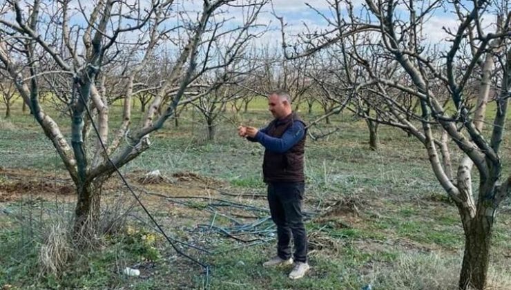 Devlet destekli tarım sigortalarında büyük artış