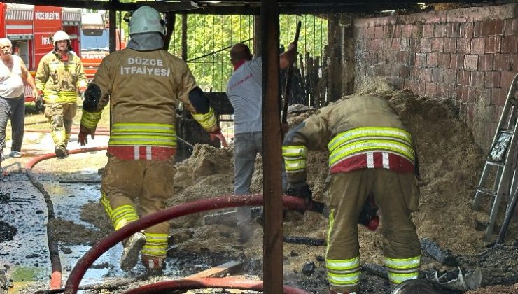 Düzce’de ahır yangını! 2 hayvan telef oldu