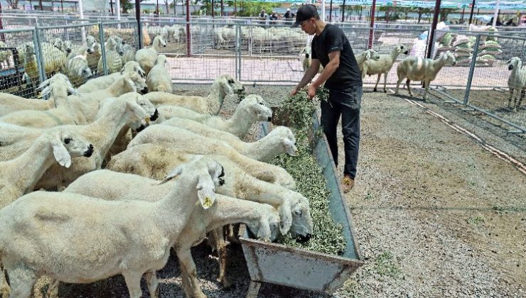 “Kayseri’de bir numara Talas Belediyesi”