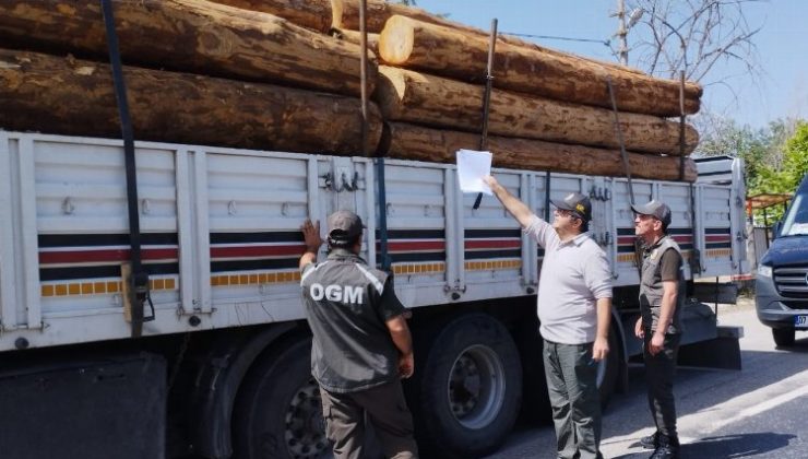 Mobil orman kontrol noktaları denetimde