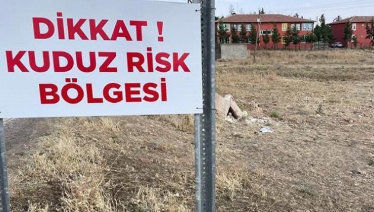 Niğde’de kuduz karantinası!