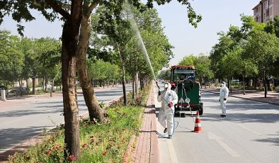 Selçuklu Belediyesi Sağlık İşleri ile Park ve Bahçeler Müdürlüğü ekipleri sağlıklı ve temiz bir çevrenin temini için tüm ilçede haşerelere karşı periyodik olarak ilaçlama çalışmalarını sürdürüyor