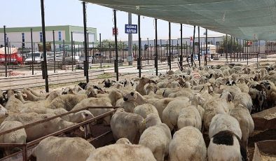 Selçuklu Belediyesi vatandaşların Kurban Bayramı’nı rahat ve huzurlu bir şekilde geçirmesi için tüm hazırlıkları tamamladı