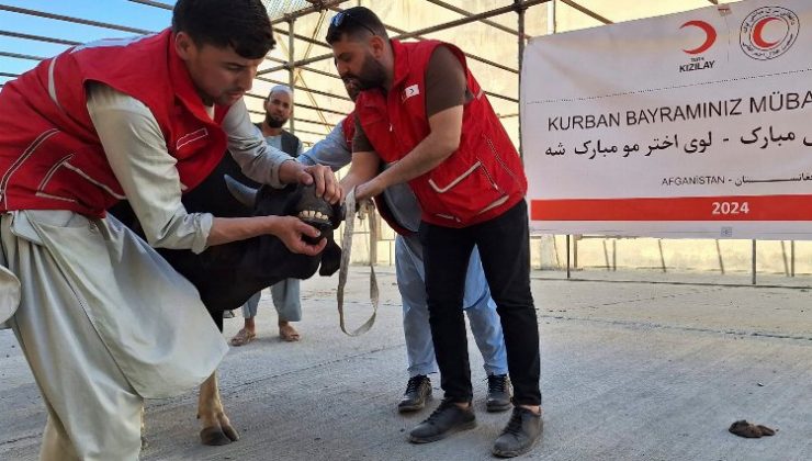 Türk Kızılay’ın kurban kesimleri 19 ülkede sürüyor