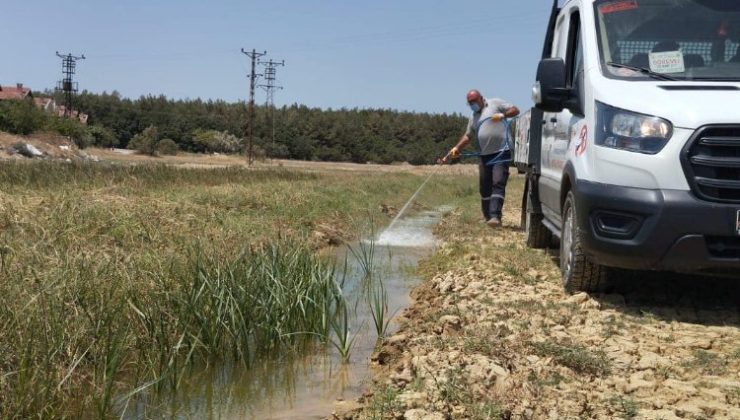 Veterinerlik İşleri Müdürlüğü larvasit mücadelesini sürdürüyor