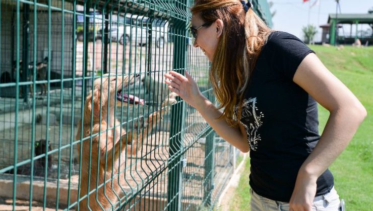 Antalya Muratpaşa’da ‘ötenazi’ye karşı!