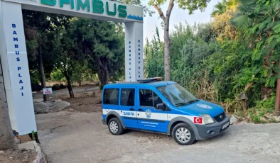 Antalya’da Bambus Plajı’ndan taşıtlar da çekildi!