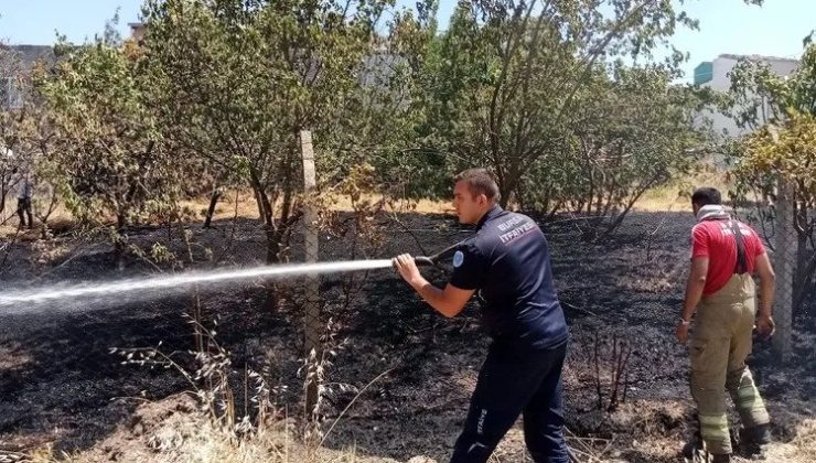 Bursa Yolçatı’da yeniden yangın başladı