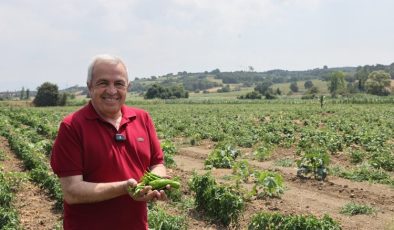 Bursa’da Nilüfer tarımsal üretimde