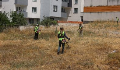 Çayırova’da yabani otlar temizleniyor