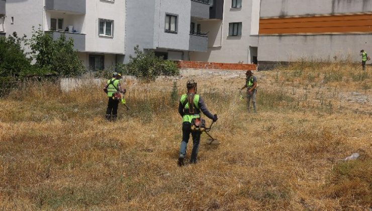 Çayırova’da yabani otlar temizleniyor