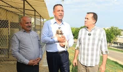 CHP Mersin milletvekilleri Ali Mahir Başarır ile CHP Mersin Milletvekili Talat Dinçer Yenişehir Belediyesinin hayvan bakımevini gezdi