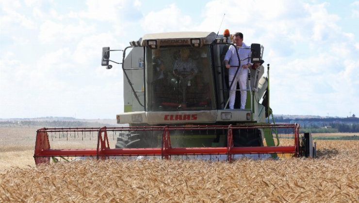 İstanbul’da deneme tohumlarında ilk hasat