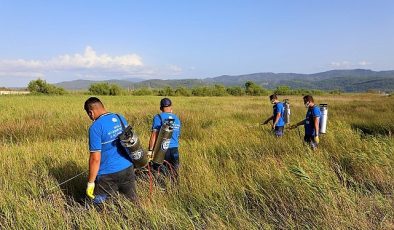 Muğla’da Vektörle Mücadelede Ara Yok