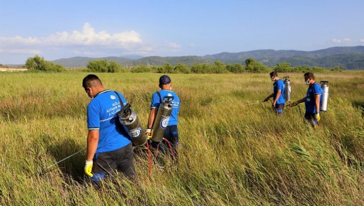 Muğla’da vektörle mücadeleye devam