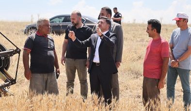 Nevşehir Belediyesi, mülkiyeti kendisine ait olan arazilerden ilk buğday hasadını gerçekleştirdi