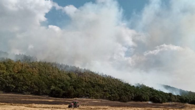 Orman İşletme Müdürü Ertunç Can Polat yangınlara karşı uyardı