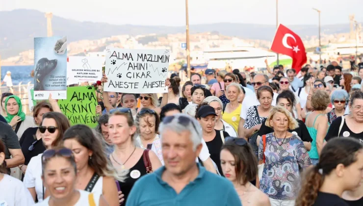 Sahipsiz hayvanlar için sesler Mudanya’dan yükseldi