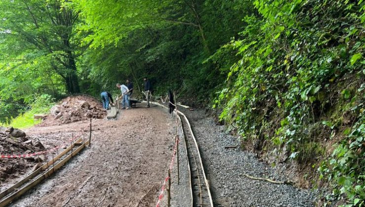 Sakarya’nın doğal cennetinde sona doğru