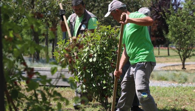 Sakarya’nın dört bir yanında estetik çalışmalar