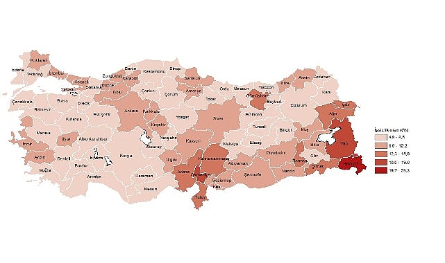 Tüik: İl Düzeyinde İşgücü İstatistikleri, 2023