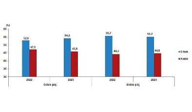 Tüik: Yurt dışından Türkiye’ye 316 bin 456 kişi göç etti