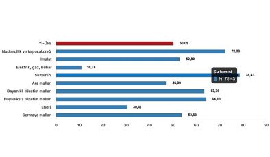 Tüik: Yurt İçi Üretici Fiyat Endeksi (Yİ-ÜFE) yıllık %50,09 arttı, aylık %1,38 arttı