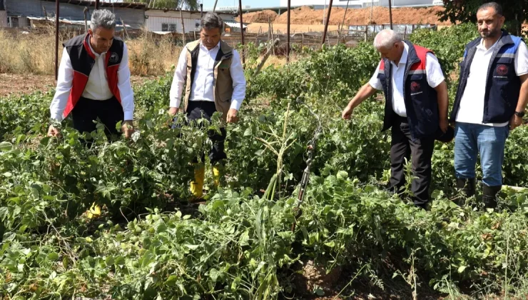 Bilecik Pazaryeri’nde yağıştan zarar gören arazilere yakın mercek