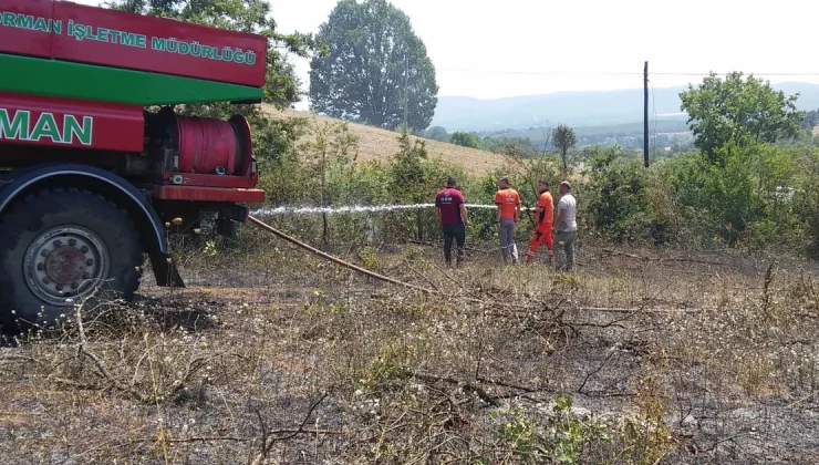 Bilecik’te arazi yangını! 1 kişi dumandan etkilendi