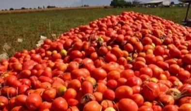 Bursa’da salça sezonu sürüyor