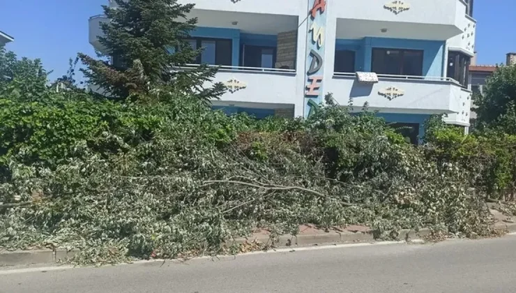 Çamlıca Mahallesi’nde kesilen ağaçlar trafiği engelliyor