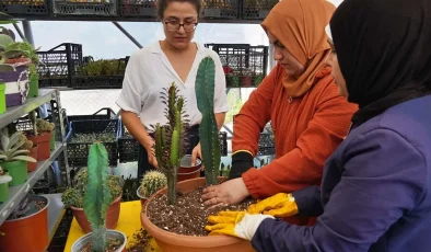 Hem tohumlar hem kadınlar güçleniyor