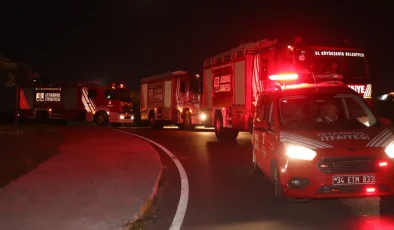 İstanbul İtfaiyesi Çanakkale ve İzmir yangınlarına müdahaleye destek verdi 