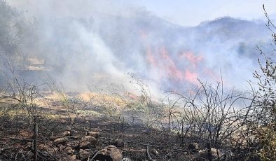 İzmir Yamanlar Dağı’nda çıkan yangınla mücadele sürüyor