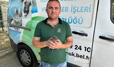 Konak’ta çöpten ‘Umut’ doğdu