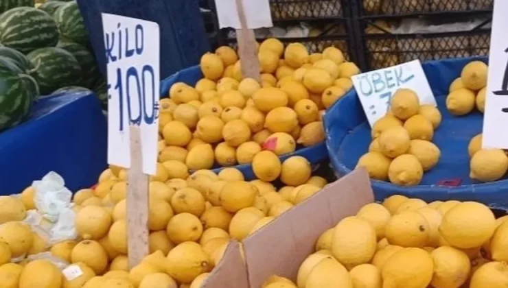 Limon üreticisinin sesine duyarsızlık fahiş fiyatlara neden oldu