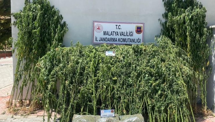 Malatya’da Jandarma 36 kilo esrar ele geçirdi