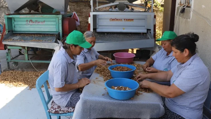 Muğla tarımı dünyaya açılıyor