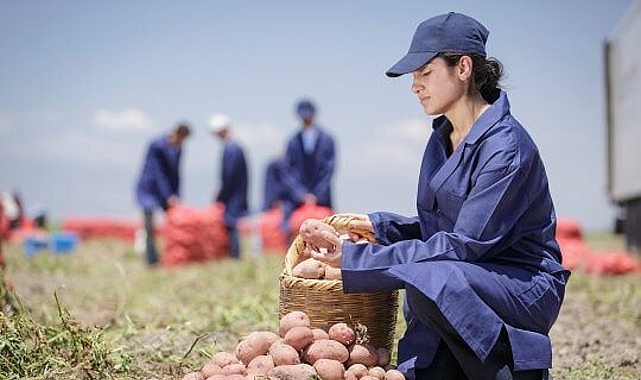 PepsiCo Türkiye’den 16 Ağustos Dünya Patates Gününde Yenileyici Tarımda Büyük Başarı: Patates Üretiminin %89’u Yenileyici Tarım Uygulamalarıyla Gerçekleşiyor