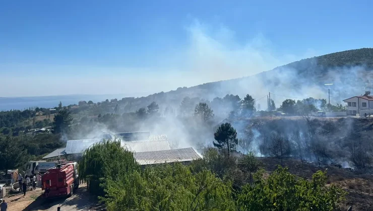 Yalova Armutlu’da orman yangını kontrol altında