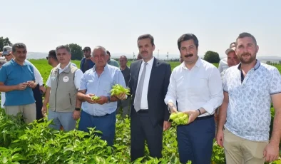 Yenişehir Biberi’nin marka değeri artacak