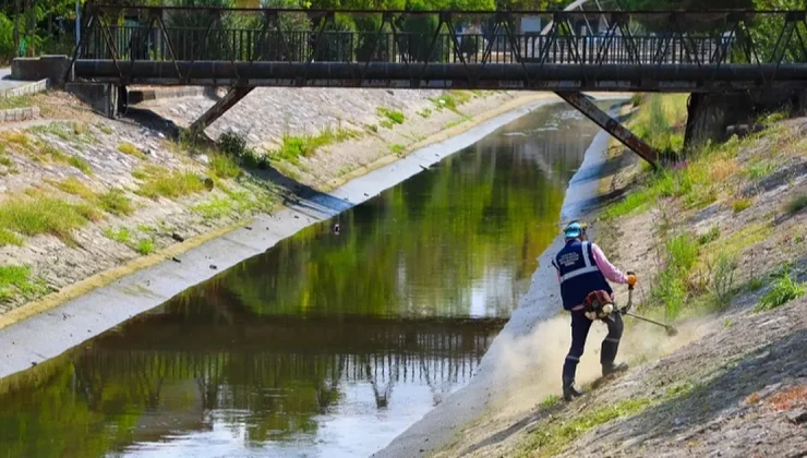 Sakarya’da Çark Deresi’nin çevresi temizleniyor