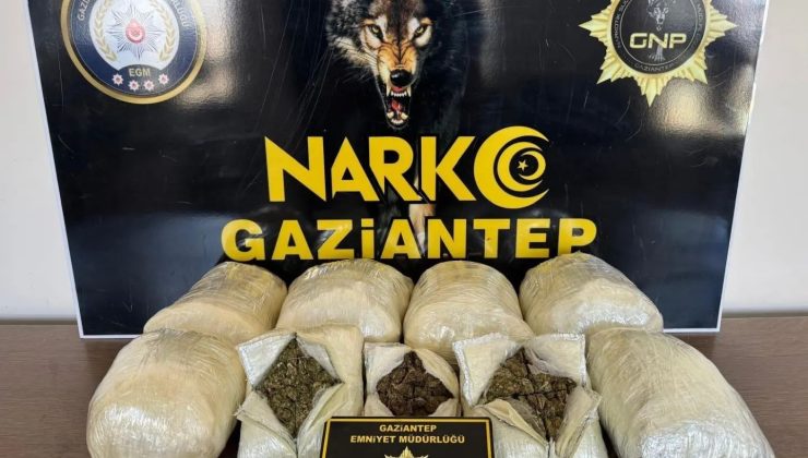 Gaziantep’te 5 kilo skunk ele geçirildi…