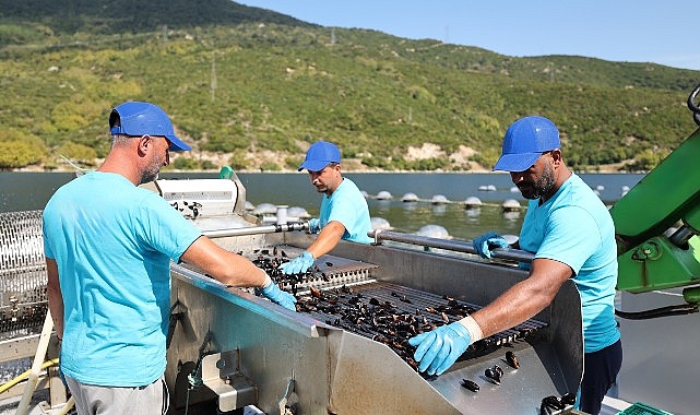 CarrefourSA’dan Mavi Ekonomi ile Sürdürülebilir Deniz Ürünleri Atağı