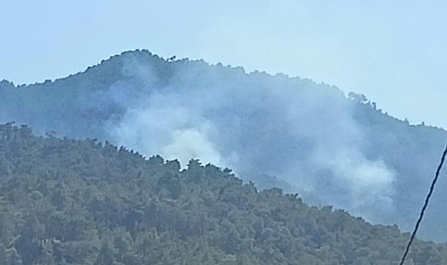 İtfaiye ekipleri, Kemalpaşa yangınına müdahale ediyor