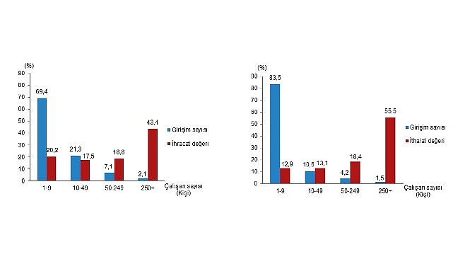 Tüik: İhracatın %43,4’ünü, ithalatın ise %55,5’ini büyük ölçekli girişimler gerçekleştirdi